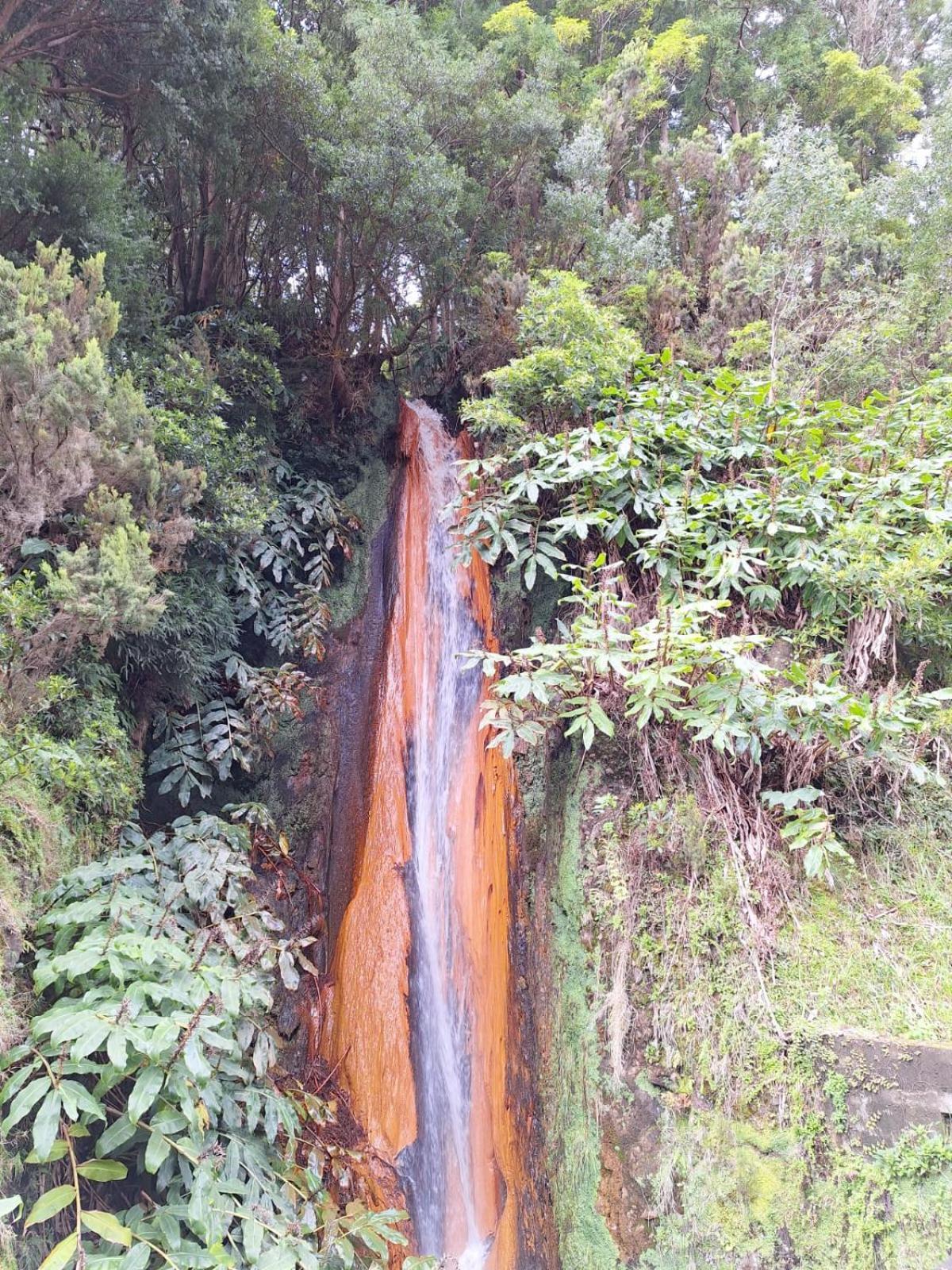 شقة Caminhos Nos Levam Pela Ilha Ponta Delgada المظهر الخارجي الصورة